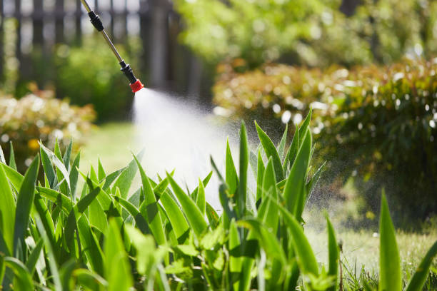 24/7 Emergency Ant Control experts in Dasher, GA